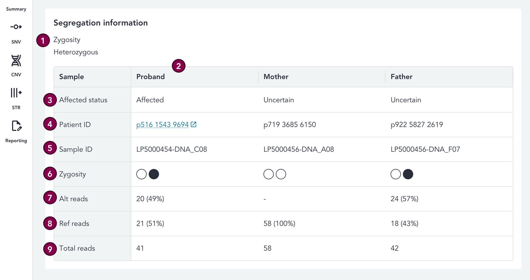 segregation-information